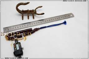 تسبیح سندلوس | سندلوس بهداد | فروشگاه و کارگاه تولید تسبیح سندلوس بهداد | سندلوس زیبا | رنگ سندلوس | جنس سندلوس | تسبیح | Rosary | rosary | tasbih behdad | tasbih | behdad | تسبیح | بهداد |